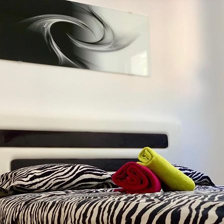 Absolute Apartman Kotor Eksteriør bilde
